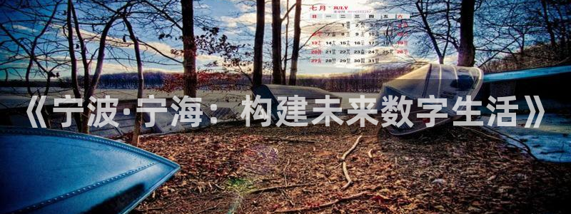 28大神软件不能用了