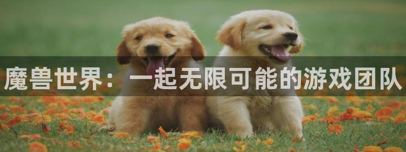 pc28开奖网站大神