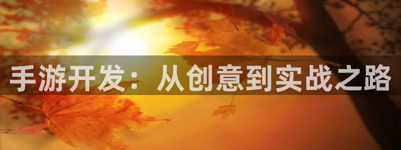 28大神官网苹果：手游开发：从创意到实战之路