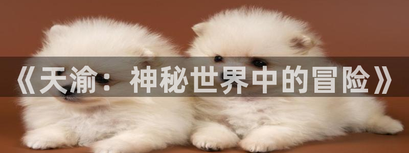 28大神怎么不能用了：《天渝：神秘世界中的冒险》