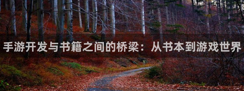 28大神官网苹果：手游开发与书籍之间的桥梁：从书本到游戏世界