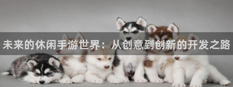 pg国际报数：未来的休闲手游世界：从创意到创新的开发之路