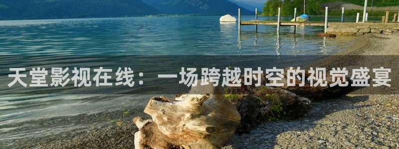 神马电影我不卡夜